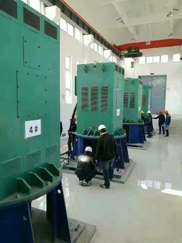 樟木头镇某污水处理厂使用我厂的立式高压电机安装现场生产厂家